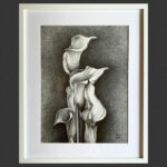 Calla lily